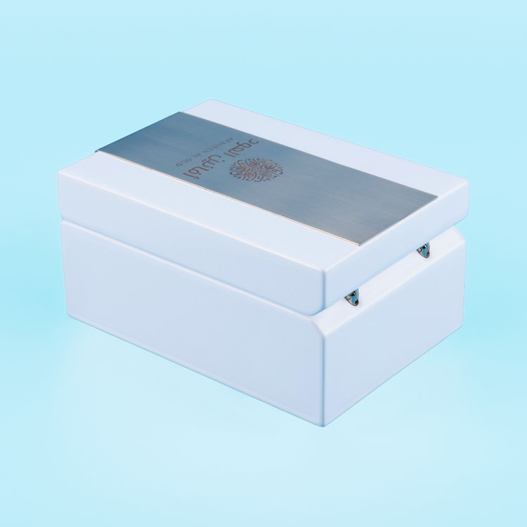 Caja de embalaje de perfume de madera pequeña y elegante pintada con accesorios de acero inoxidable cepillado